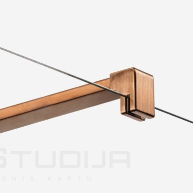Dušo sienelė NewTrendy Nesta 100x200 cm skaidrus stiklas, braižyto vario spalvos profiliai