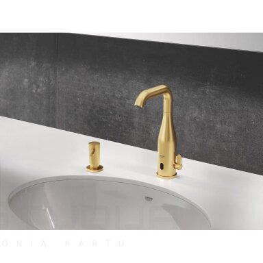 Grohe Cosmopolitan dozatorius brushed cool sunrise spalvos