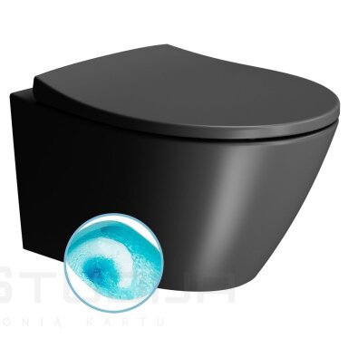 Grohe potinkinis wc rėmas su Phantom Black spalvos mygtuku ir GSI Modo juodas matinis pakabinamas klozetas su SWIRLFLUSH® nuplovimo sistema Grohe potinkinis wc rėmas su Phantom Black spalvos mygtuku ir GSI Modo juodas matinis pakabinamas klozetas su SWIRLFLUSH® nuplovimo sistema