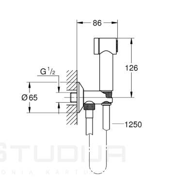 Grohe Trigger spray bidė dušelis chromo spalvos 26332000