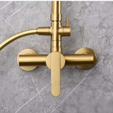 Imex Roma virštinkinė dušo sistema PVD braižyto aukso spalvos 2