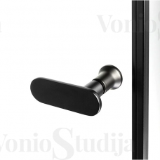 New SOLEO BLACK durys į nišą 120x195 cm skaidrus stiklas juodi profiliai dešiniosios