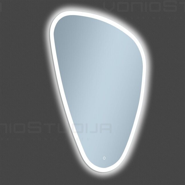 Veidrodis su led apšvietimu Arifana LED 69x96 cm 2
