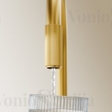Virtuvinis maišytuvas su vandens filtravimo sistema Omnires Switch braižyto aukso spalvos